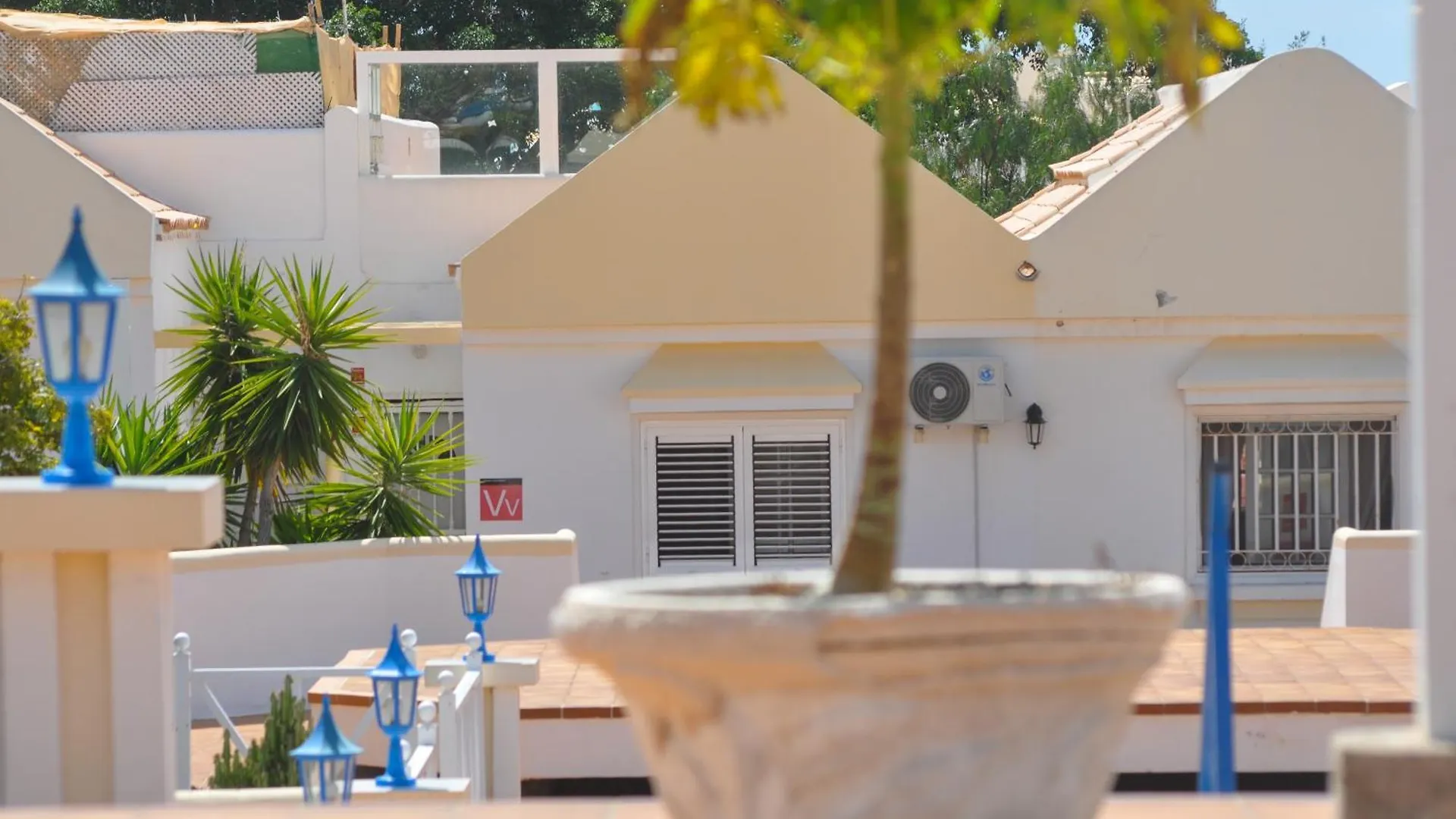 Apartmán The Palms Golf Del Sur - Casa Andromeda San Miguel de Abona
